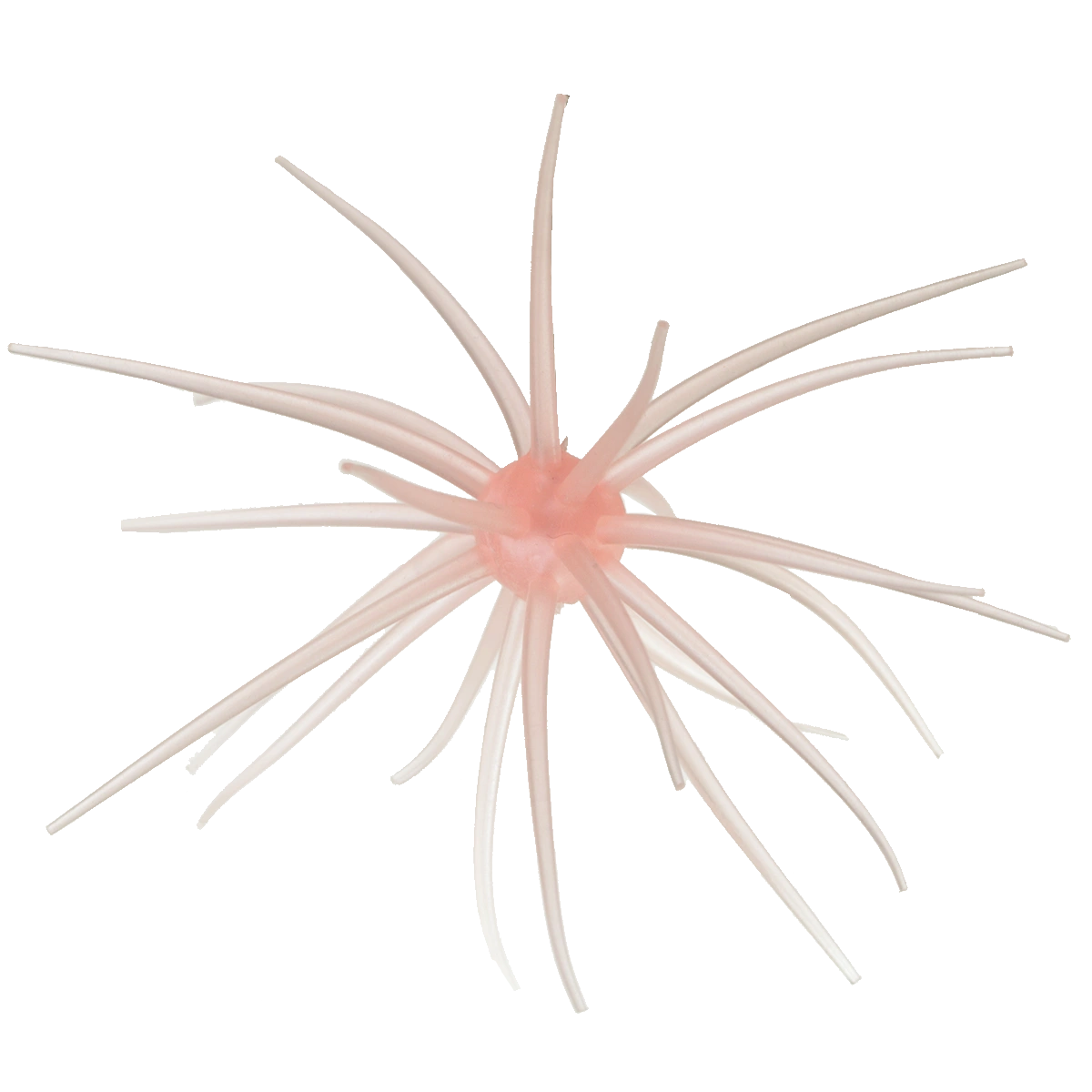 Kyu Coike (Old Coike) - HIDEUP