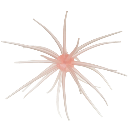 Kyu Coike (Old Coike) - HIDEUP