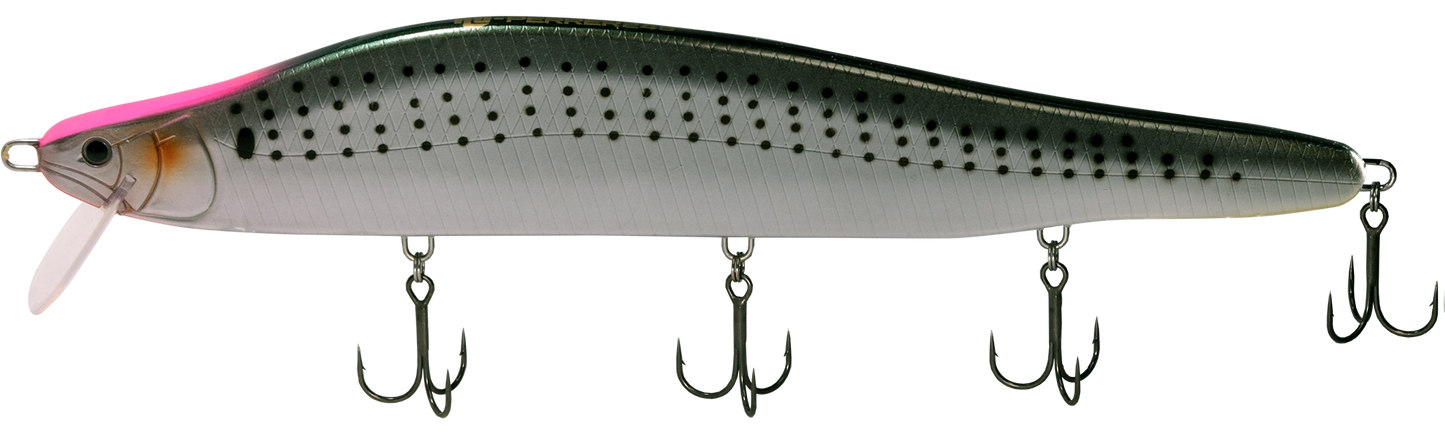 HU-PERRER 248 (Saltwater) - HIDEUP