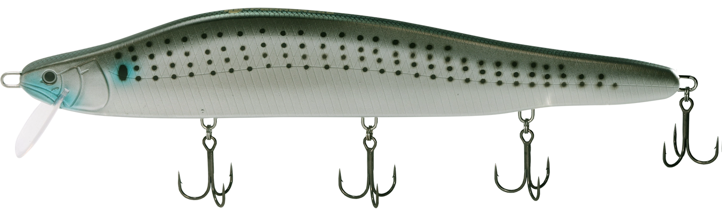 HU-PERRER 248 (Saltwater) - HIDEUP