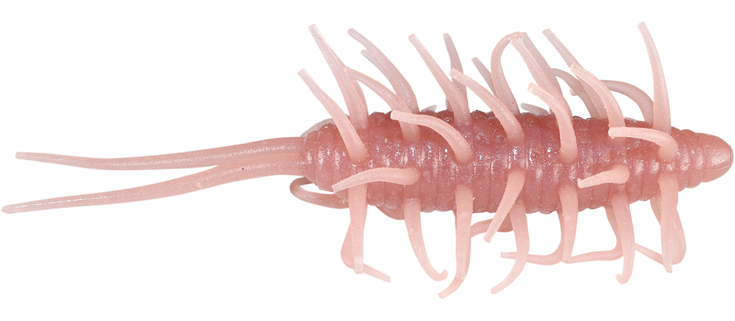 Coike Shrimp Mangun - HIDEUP