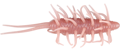 Coike Shrimp Mangun - HIDEUP