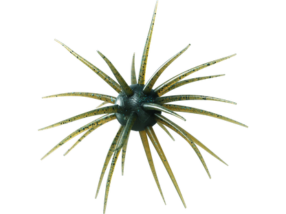 Coike fullcast - HIDEUP