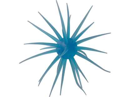 Coike fullcast - HIDEUP