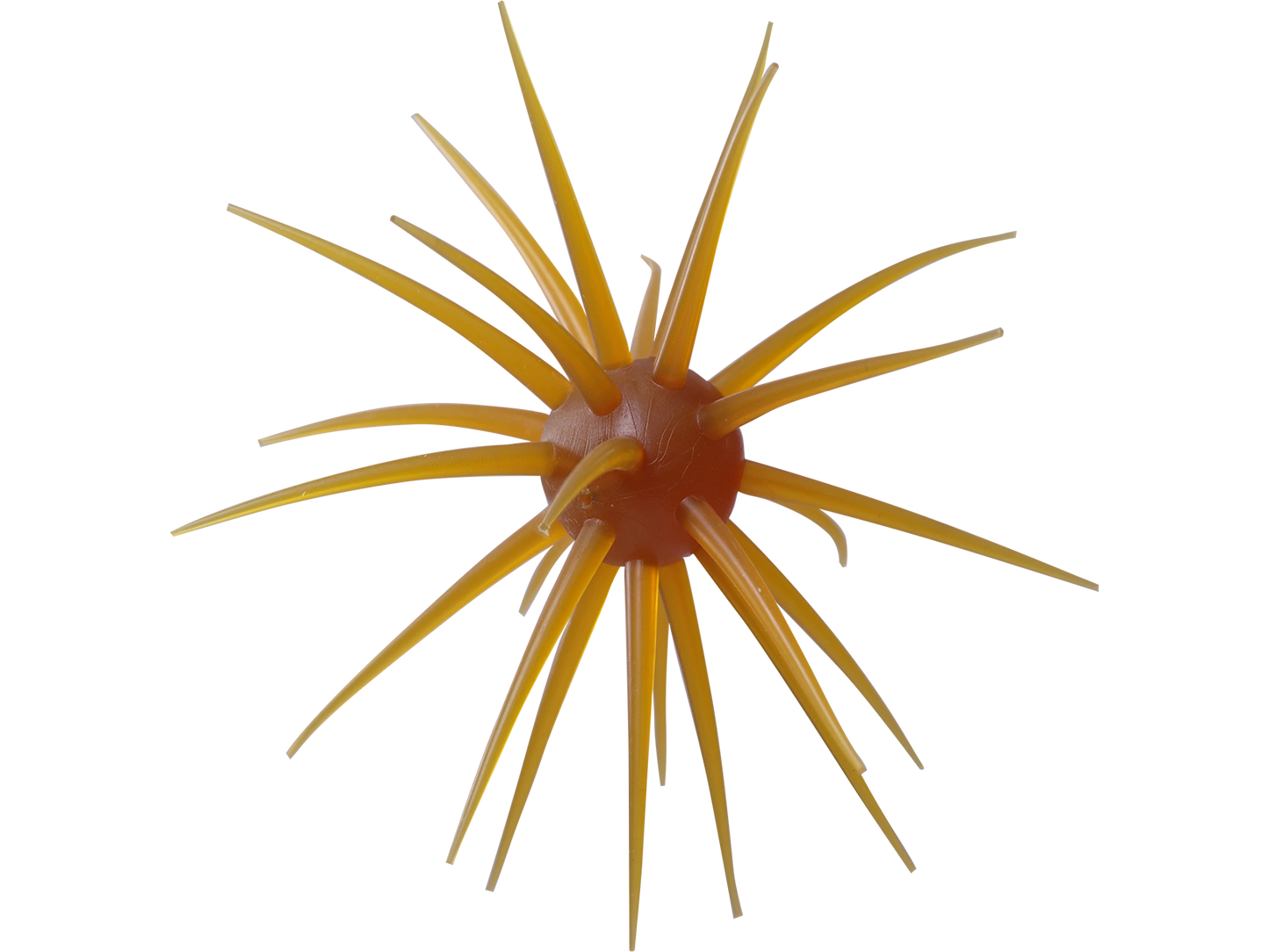 Coike fullcast - HIDEUP