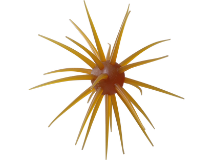 Coike fullcast - HIDEUP