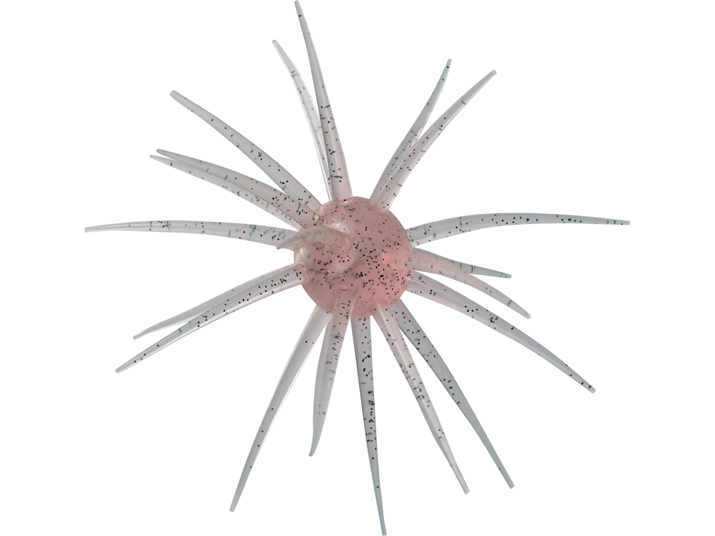 Coike fullcast - HIDEUP