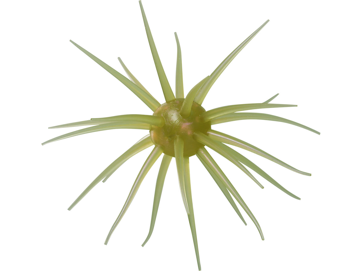 Coike fullcast - HIDEUP