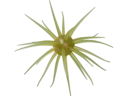 Coike fullcast - HIDEUP