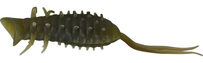 Coike Popper Frog - HIDEUP