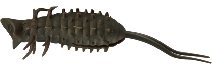 Coike Popper Frog - HIDEUP