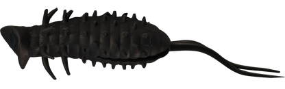 Coike Popper Frog - HIDEUP