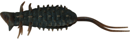 Coike Popper Frog - HIDEUP