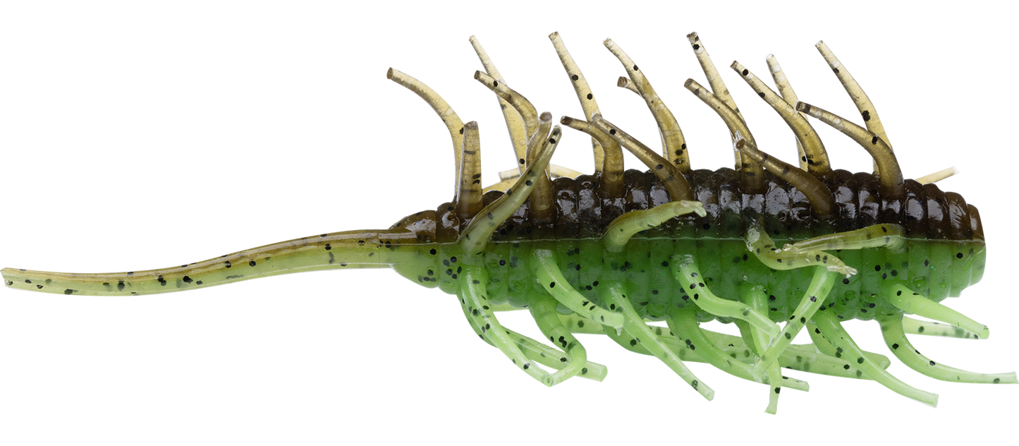 Coike Shrimp - HIDEUP