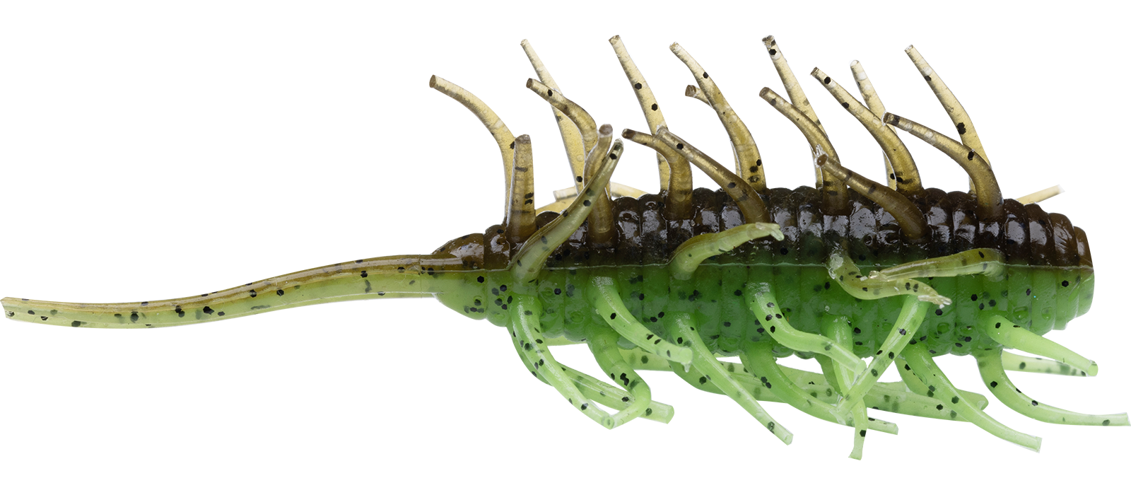 Coike Shrimp - HIDEUP