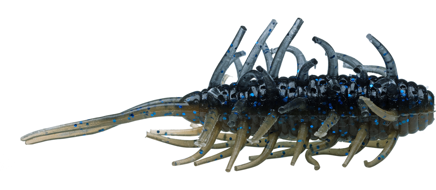 Coike Shrimp - HIDEUP