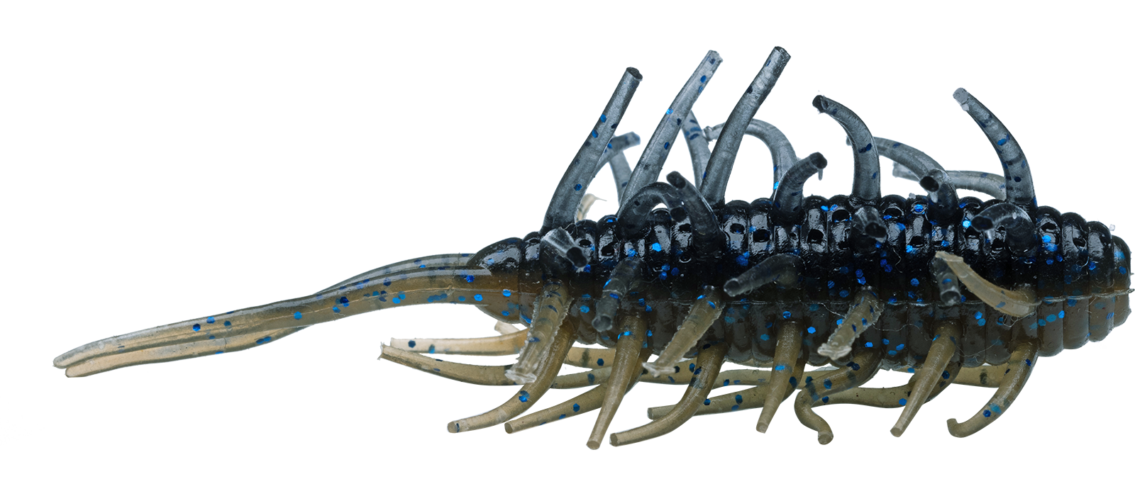 Coike Shrimp - HIDEUP