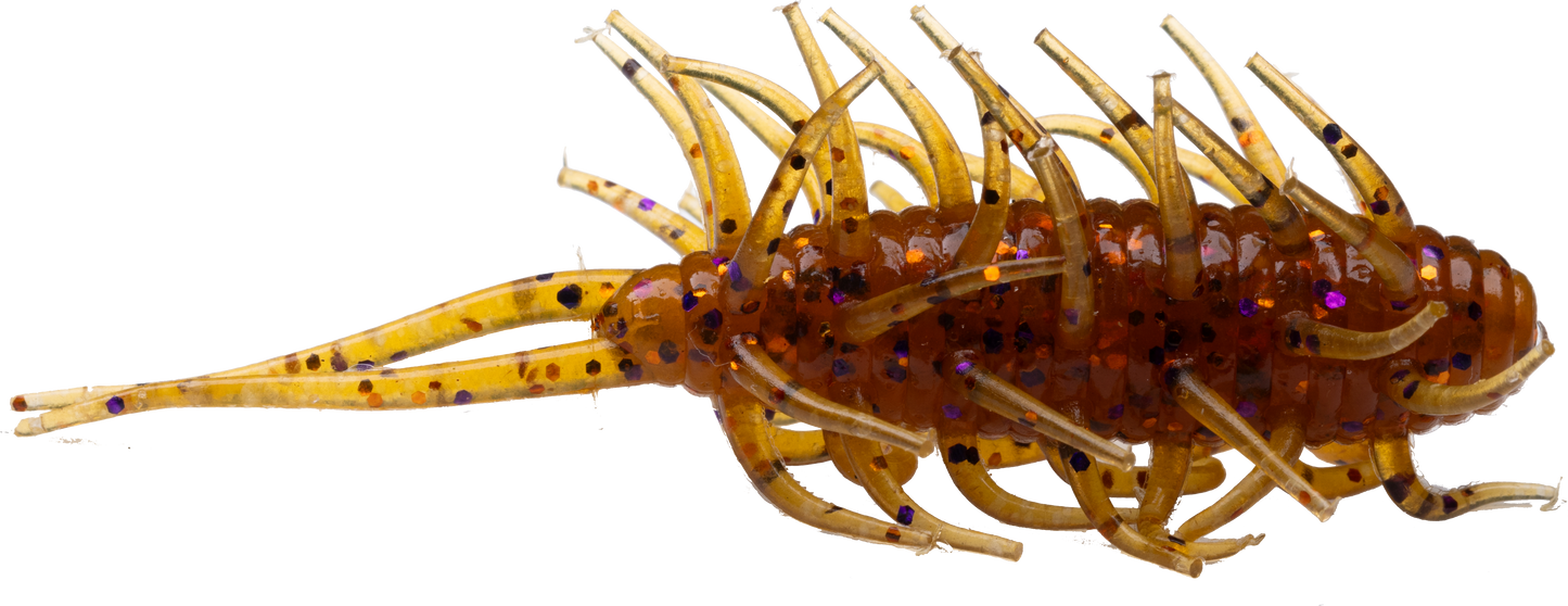 Coike Shrimp - HIDEUP