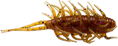 Coike Shrimp - HIDEUP