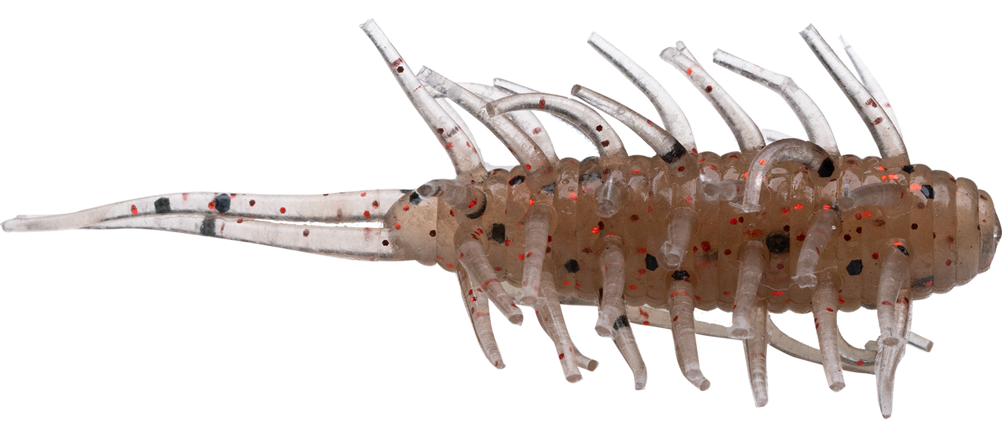 Coike Shrimp - HIDEUP