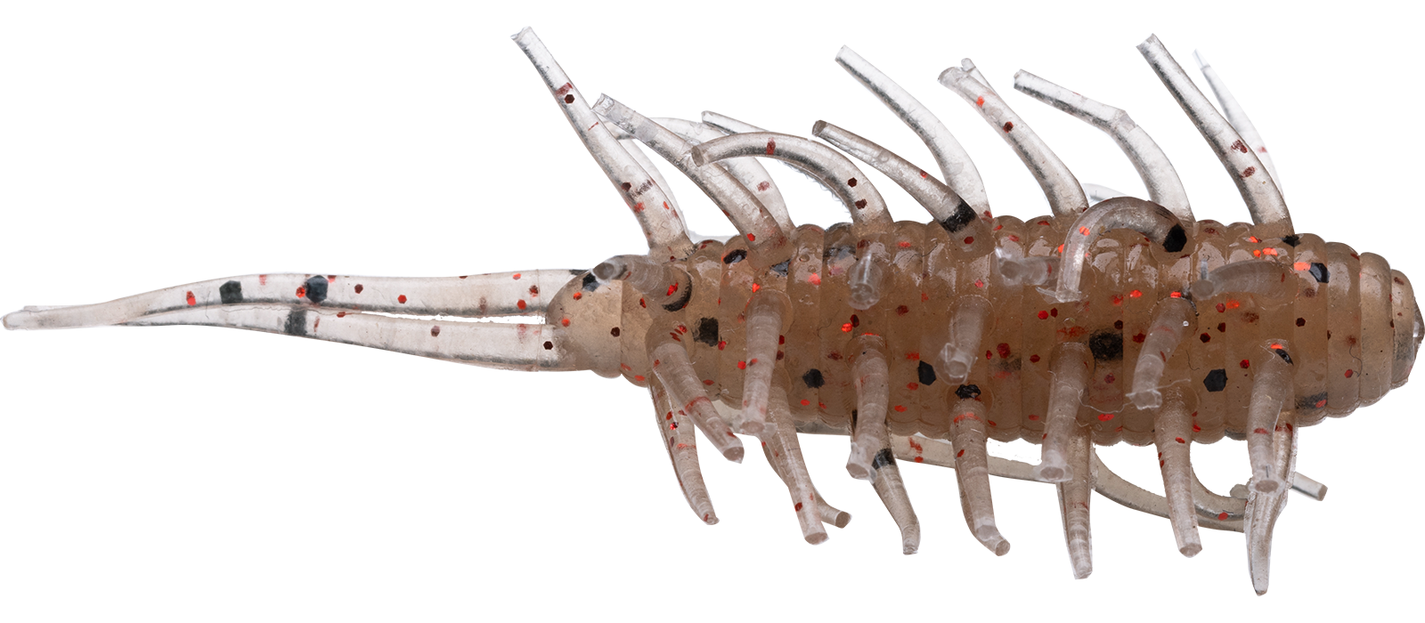 Coike Shrimp - HIDEUP