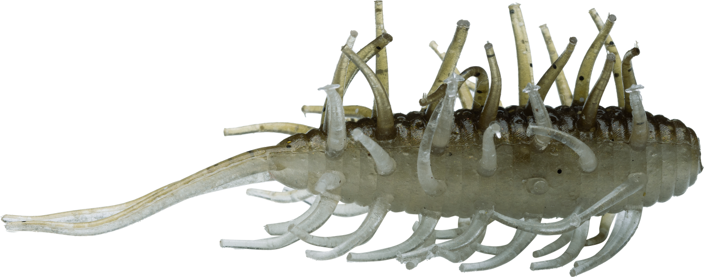 Coike Shrimp - HIDEUP