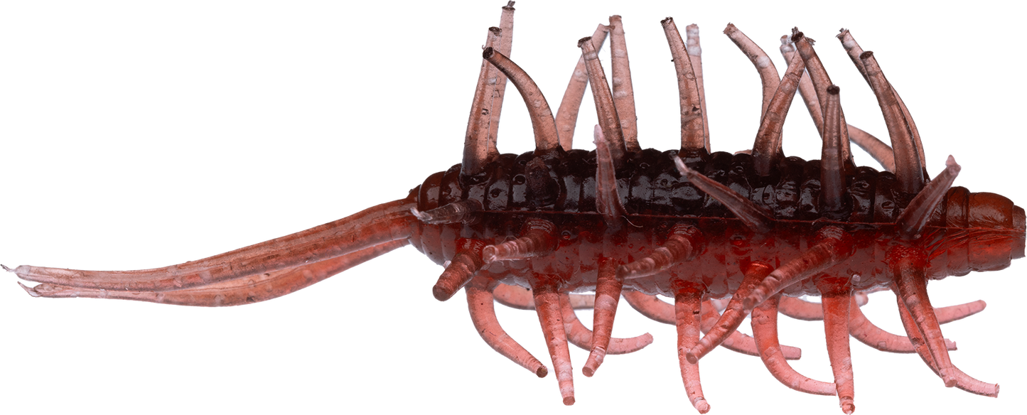 Coike Shrimp Mini - HIDEUP