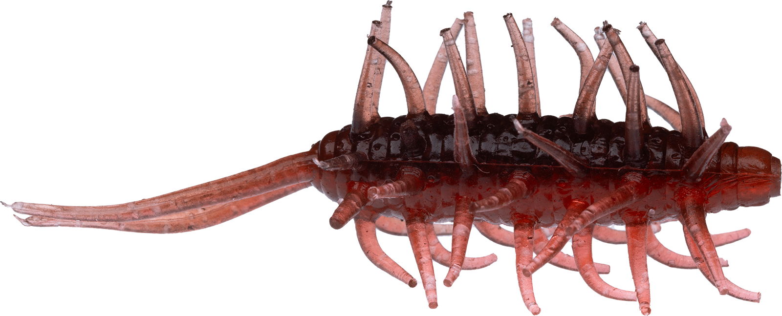 Coike Shrimp Mini - HIDEUP