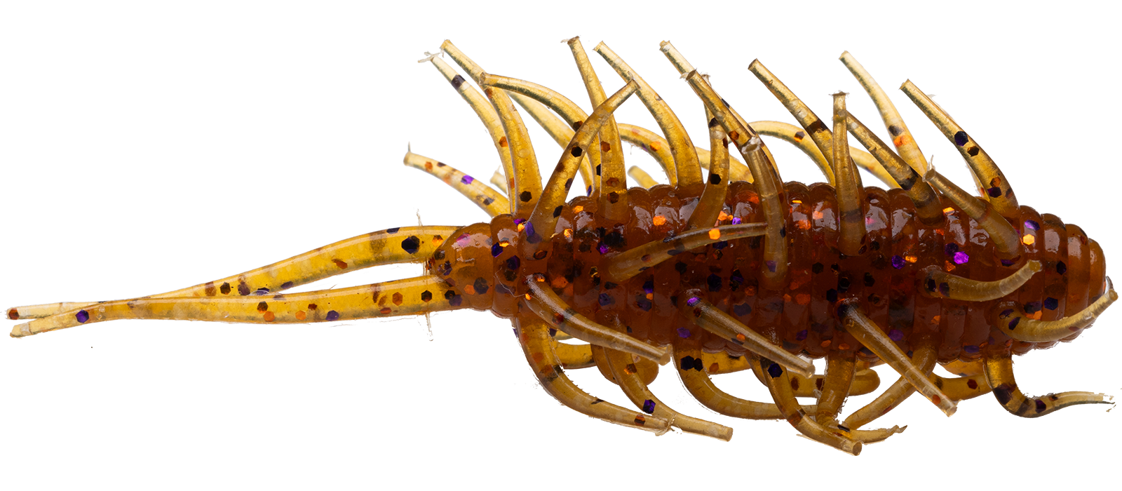 Coike Shrimp Mini - HIDEUP