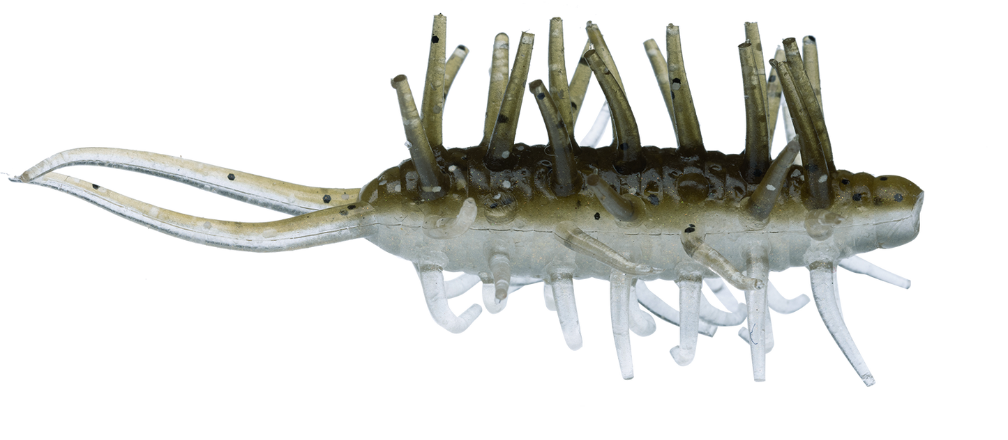 Coike Shrimp Mini - HIDEUP