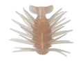 Coike BB (Bug Bomber) - HIDEUP