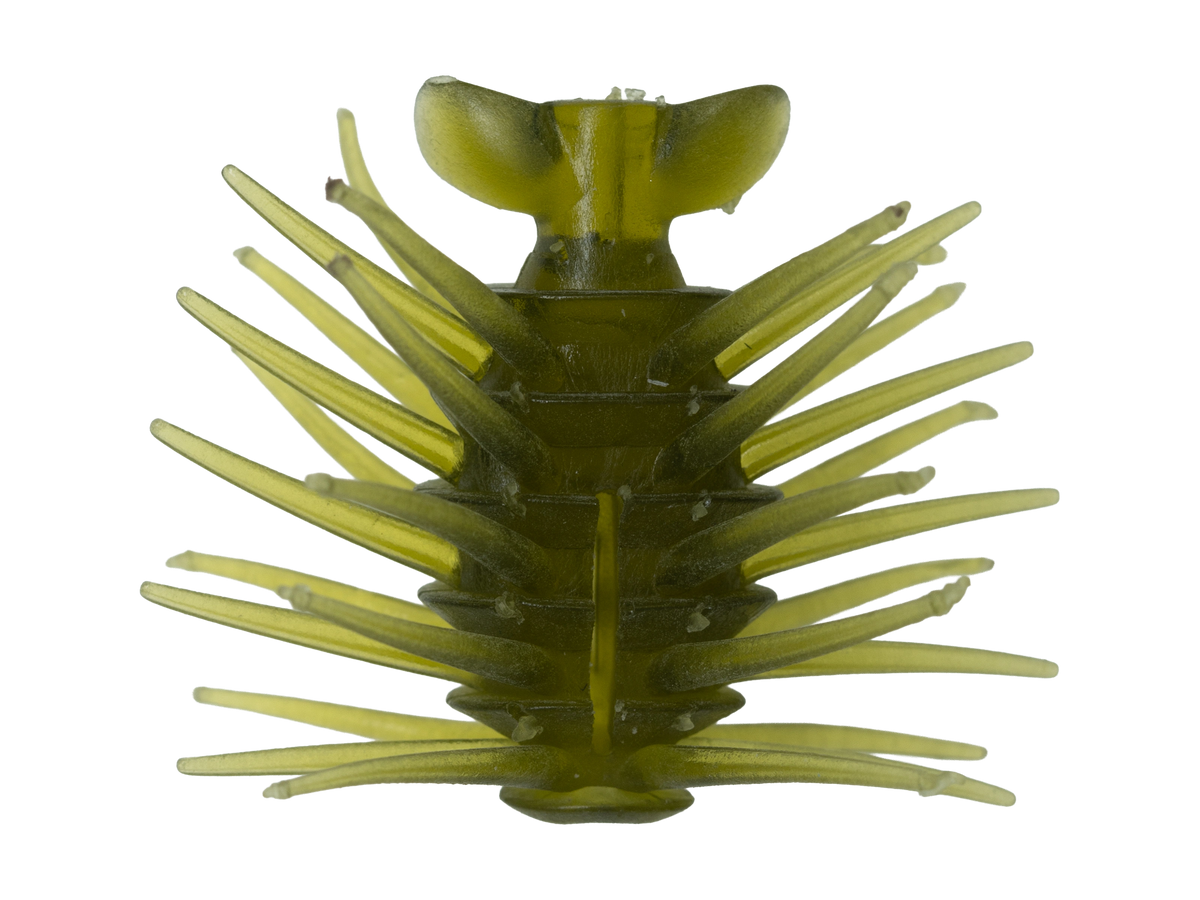 Coike BB (Bug Bomber) - HIDEUP
