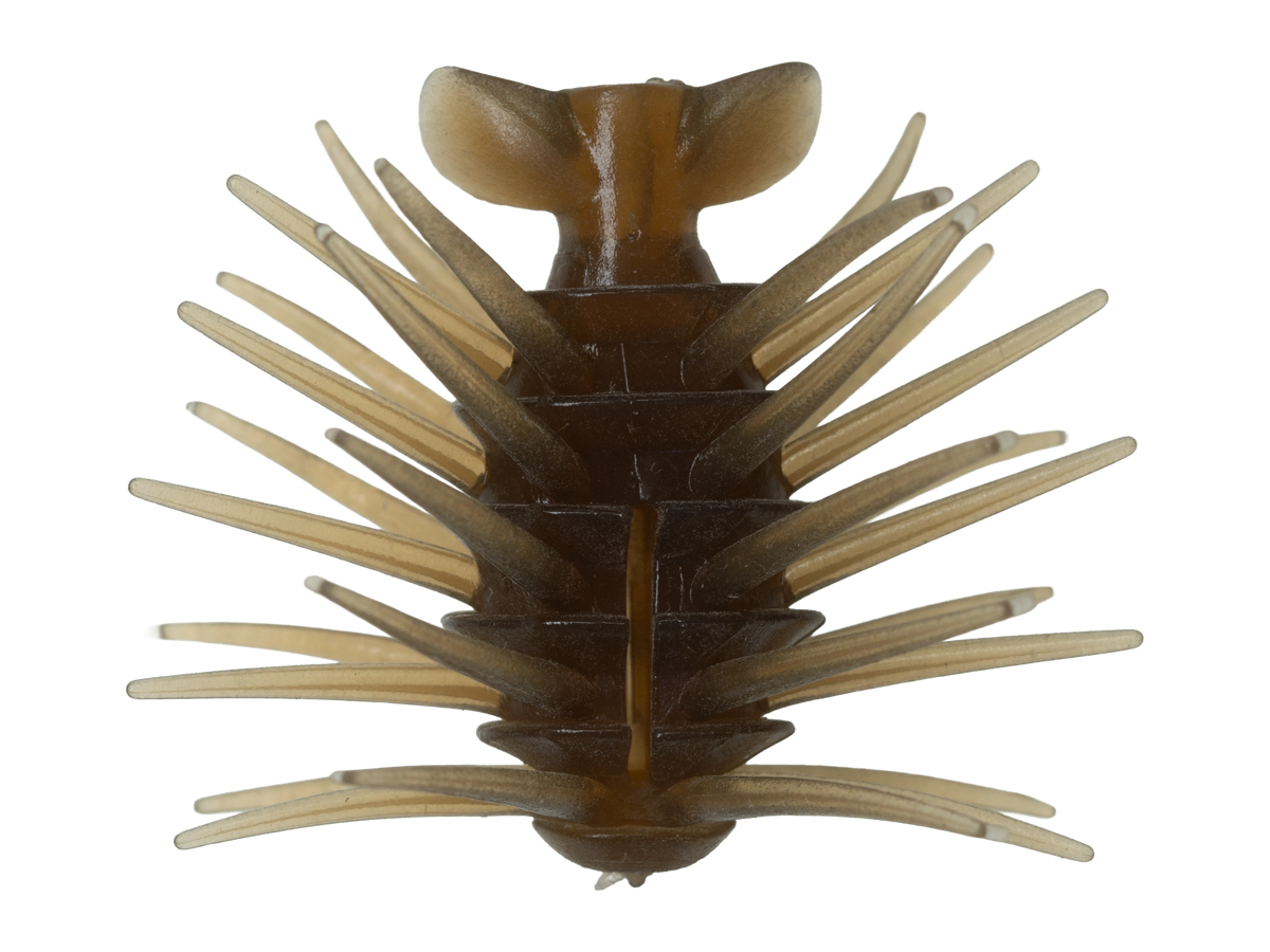 Coike BB (Bug Bomber) - HIDEUP