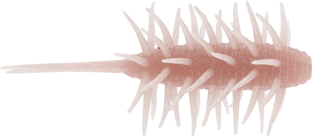 Coike Shrimp Medium - HIDEUP