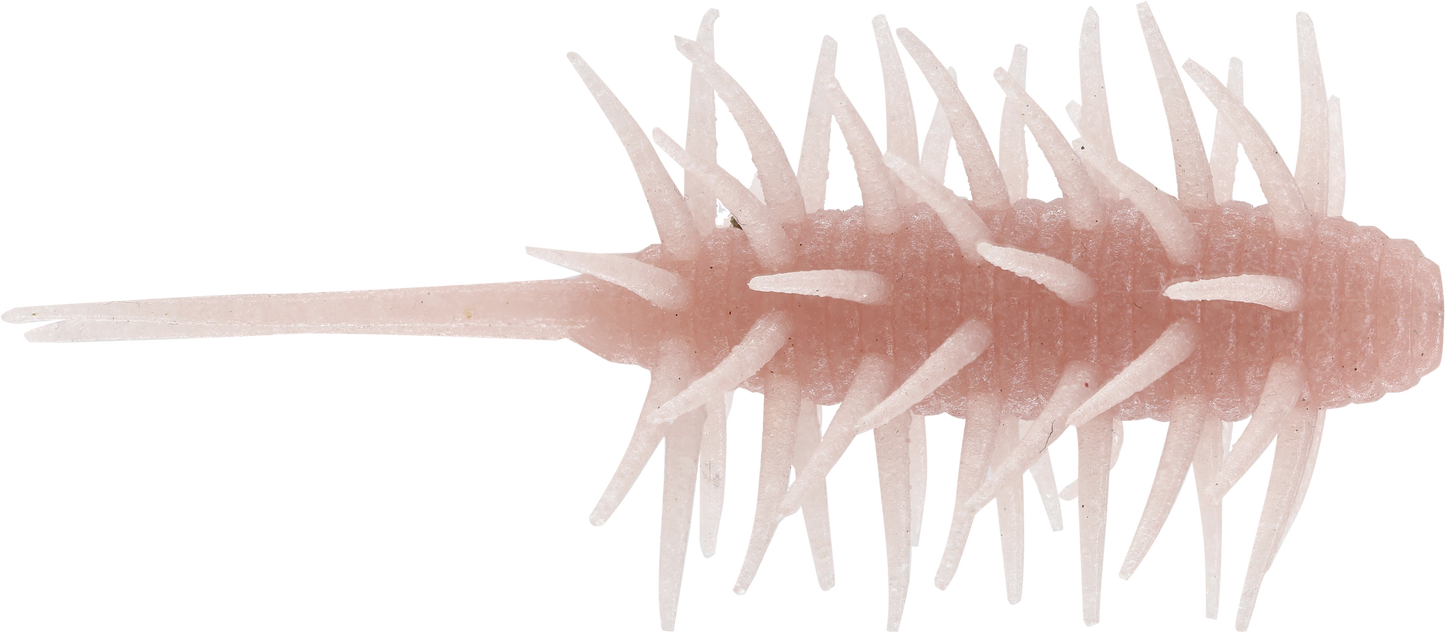 Coike Shrimp Medium - HIDEUP