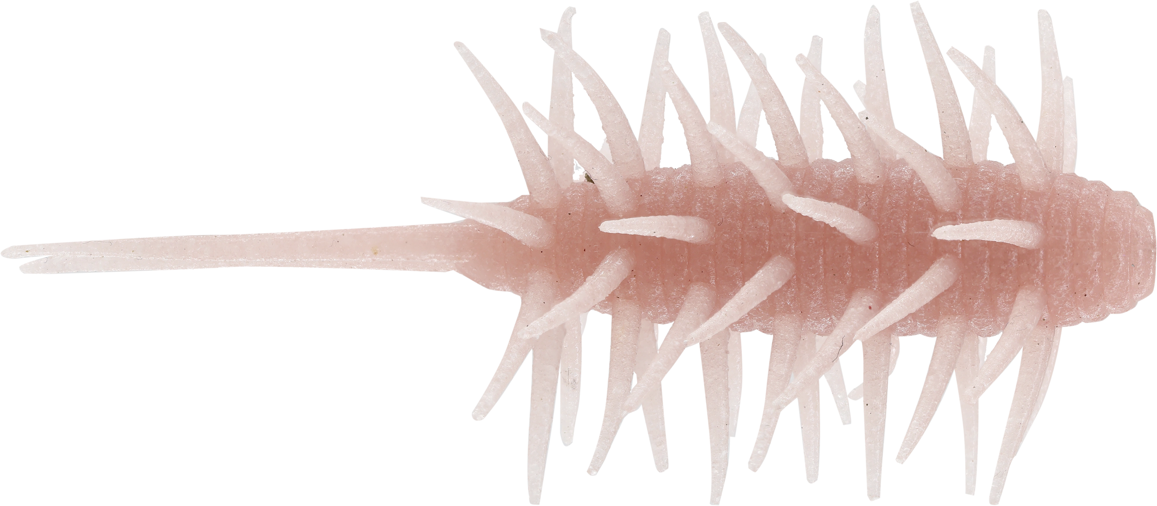 Coike Shrimp Medium - HIDEUP