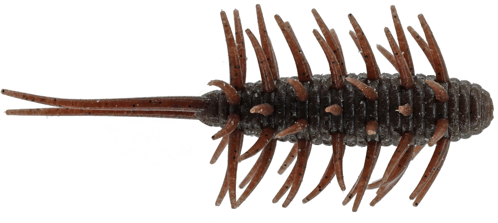Coike Shrimp Medium - HIDEUP