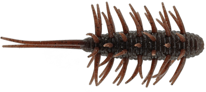 Coike Shrimp Medium - HIDEUP