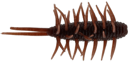 Coike Shrimp Medium - HIDEUP