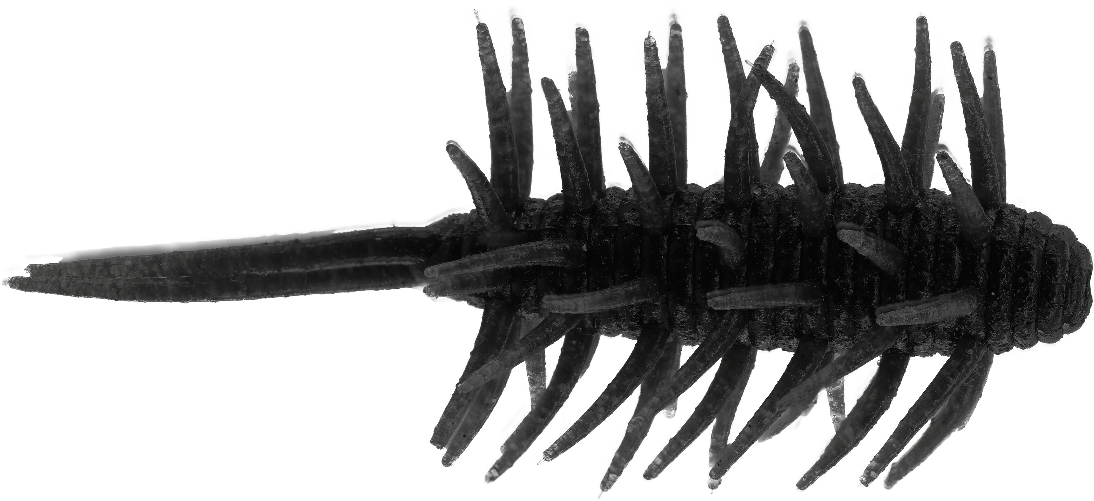Coike Shrimp Medium - HIDEUP