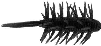 Coike Shrimp Medium - HIDEUP