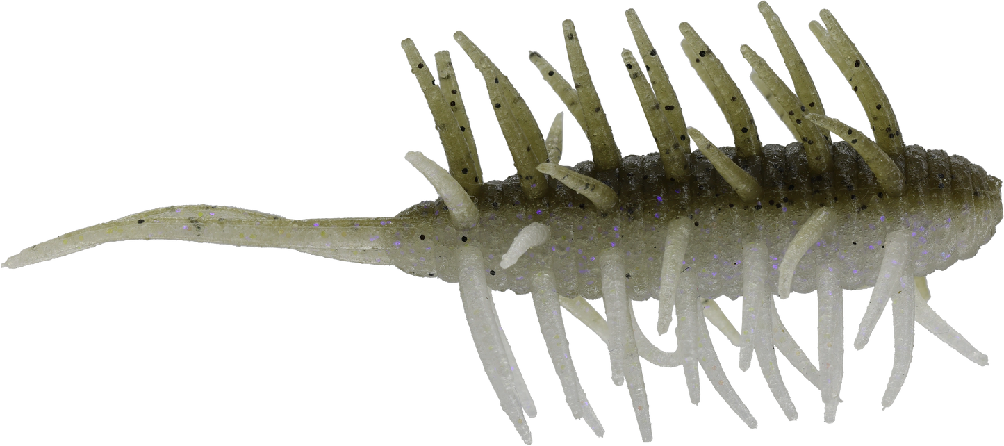 Coike Shrimp Medium - HIDEUP