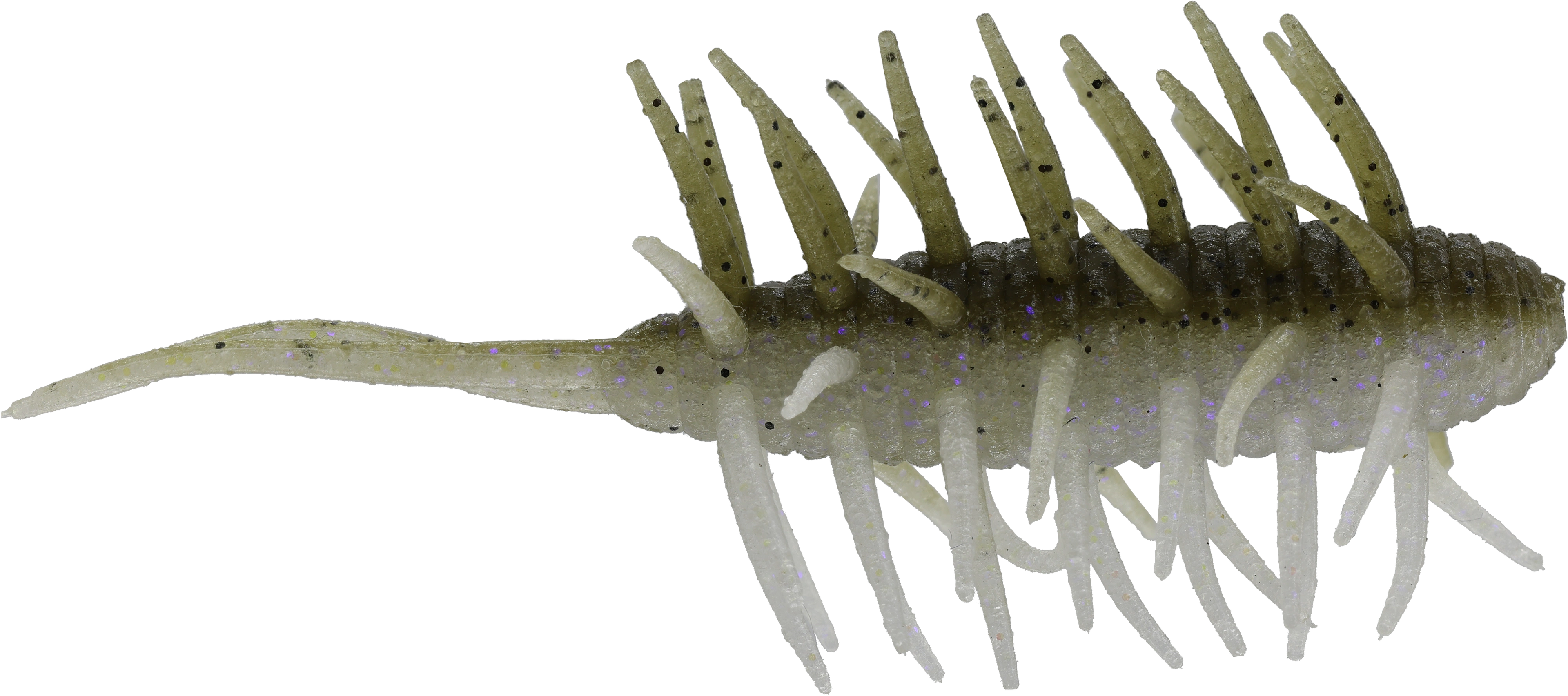 Coike Shrimp Medium - HIDEUP