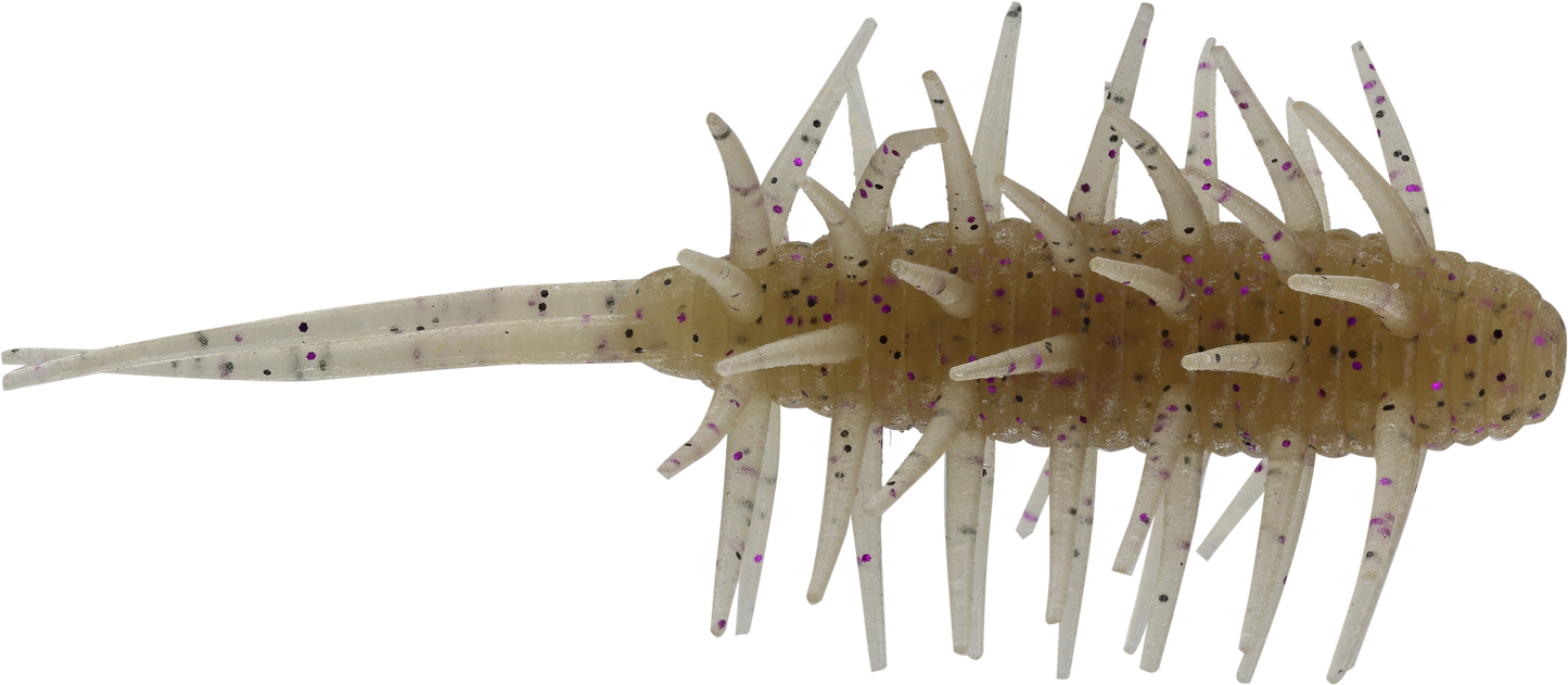 Coike Shrimp Medium - HIDEUP