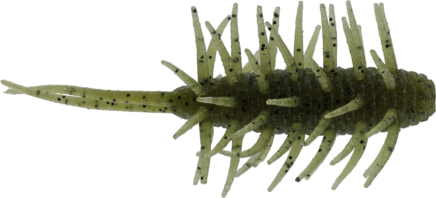 Coike Shrimp Medium - HIDEUP