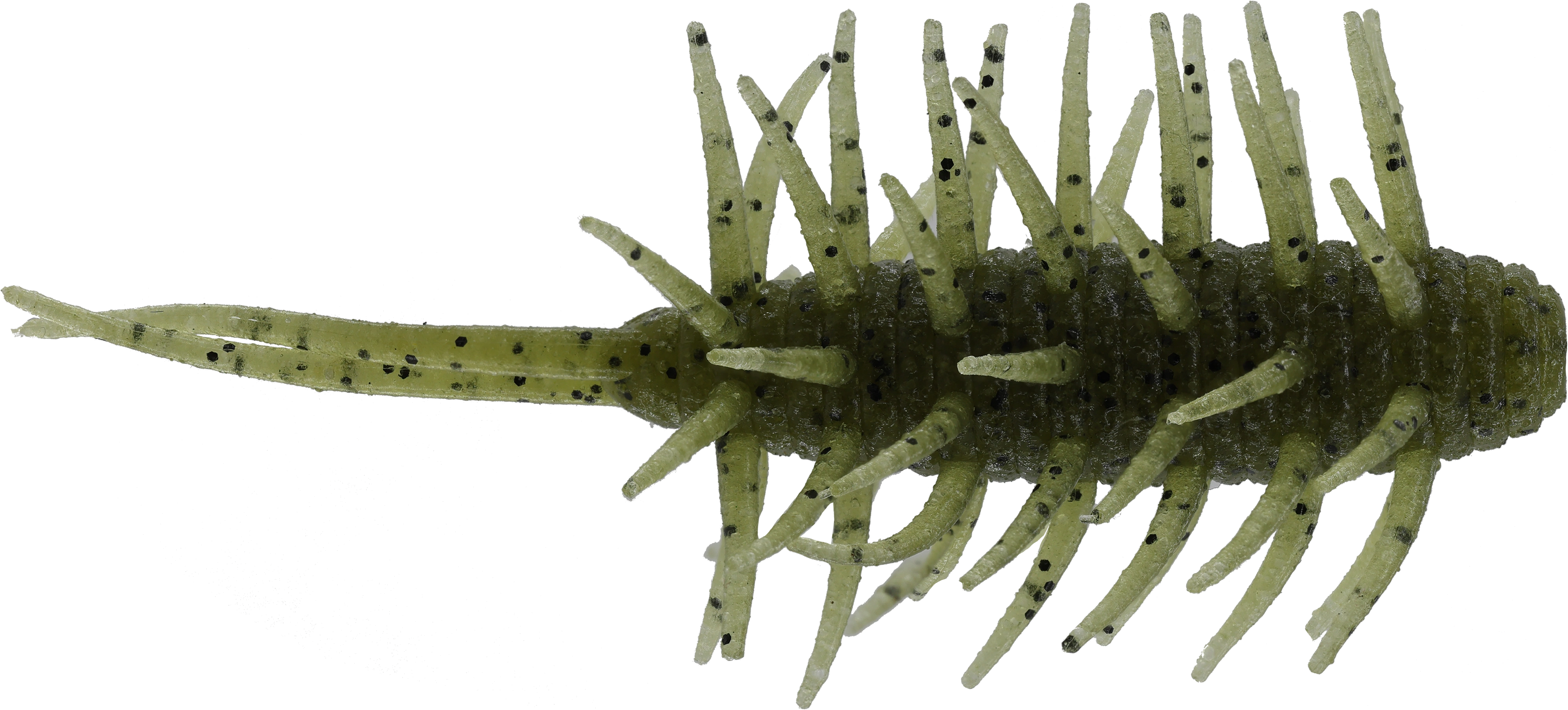 Coike Shrimp Medium - HIDEUP