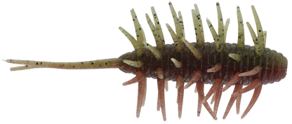 Coike Shrimp Medium - HIDEUP