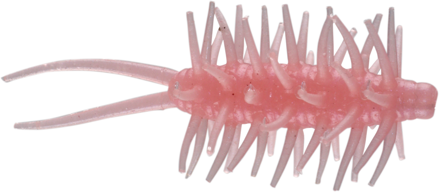 Coike Shrimp Mini - HIDEUP