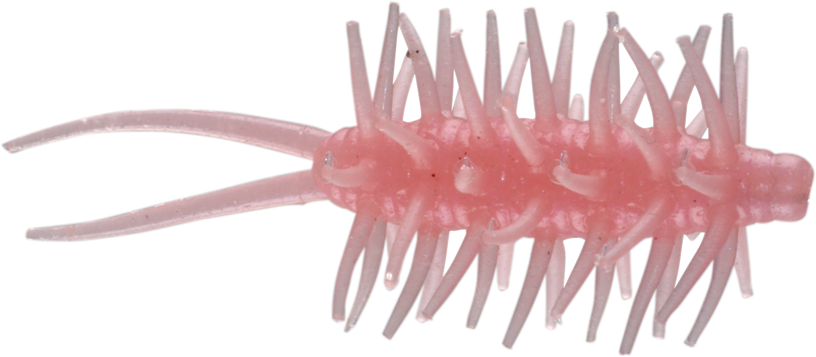Coike Shrimp Mini - HIDEUP