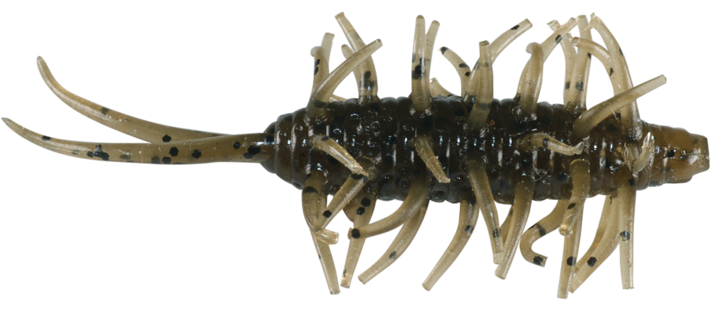 Coike Shrimp Mini - HIDEUP